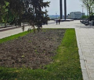 Тюльпаны на Площади Победы: Как Воронеж встречает весну без этого символа красоты